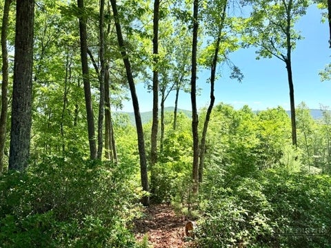 Photo of Lot 48 & 49 Davis Acres DR, West Jefferson, NC 28694 (MLS # 262468)