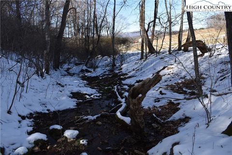 Photo of TBD Nile Road, Sparta, NC 28675 (MLS # 253372)