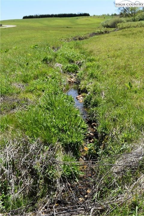 Photo of TBD Nile Road, Sparta, NC 28675 (MLS # 253372) Photo of TBD Nile Road, Sparta, NC 28675 (MLS # 253372)