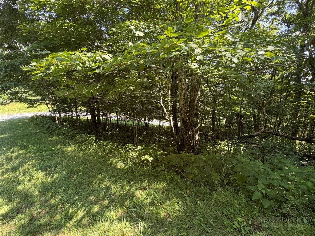 TBD Pinnacle Drive