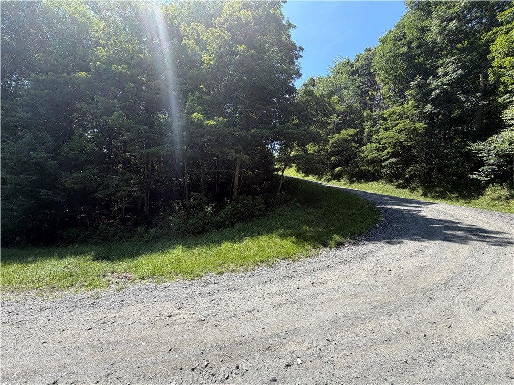 TBD Pinnacle Drive