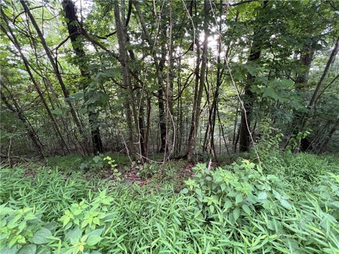 Photo of TBD River Stone Drive, Laurel Springs, NC 28644 (MLS # 263999)