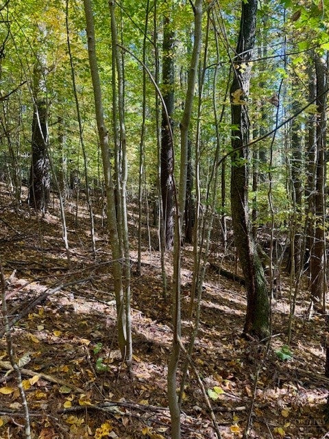 Lot 34 Woodland Valley Road