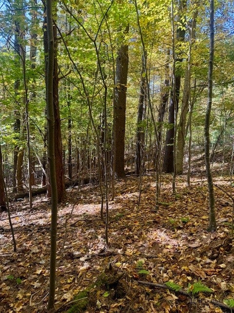 Lot 34 Woodland Valley Road