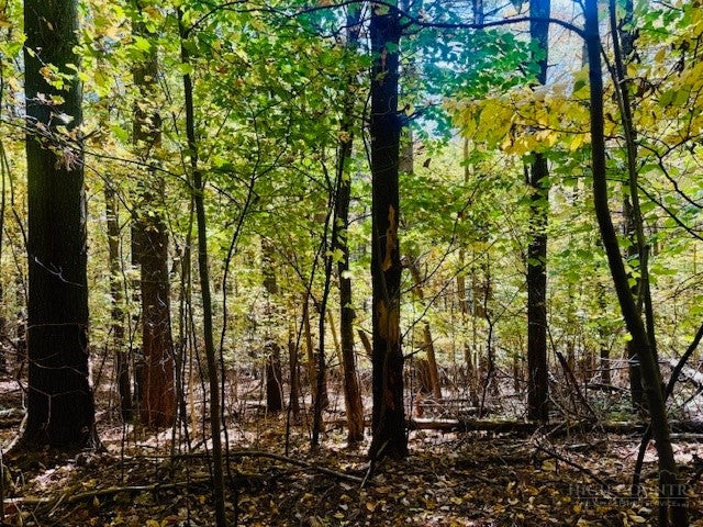 Lot 34 Woodland Valley Road