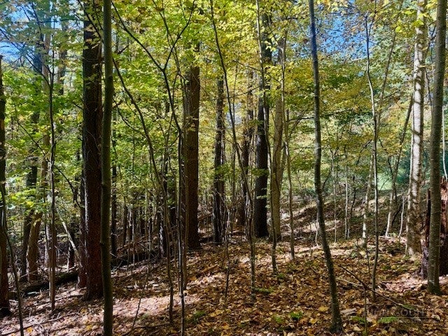 Lot 34 Woodland Valley Road