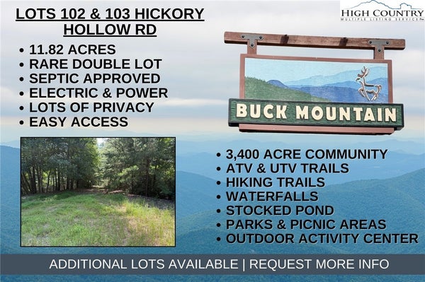 102 HICKORY HOLLOW RD, PURLEAR, NC 28665 - Image 71707f3efddd55d8527f01f41e08aa9f/1820156698