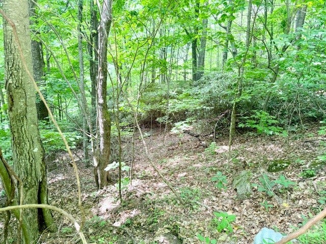 Lot 17 Savannah Drive