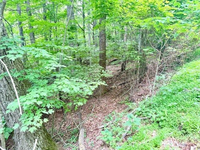 Lot 17 Savannah Drive