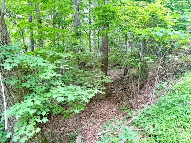 Lot 17 Savannah Drive