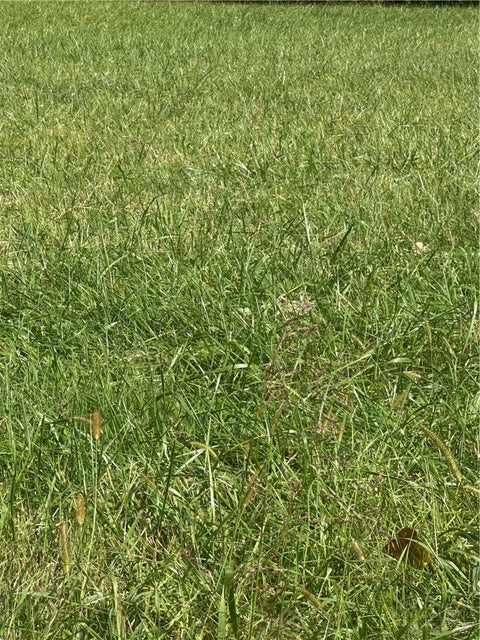 Photo of Lot 102 Parson Lane, North Wilkesboro, NC 28659 (MLS # 265097)
