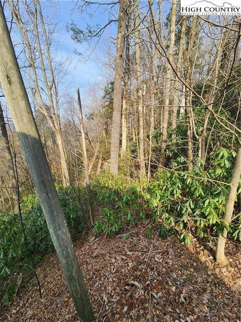 Photo of TBD Poplar Ridge Road, Banner Elk, NC 28604 (MLS # 262678)