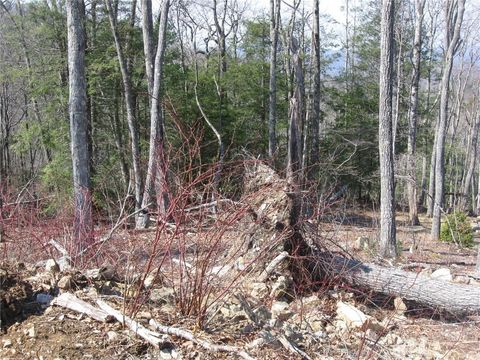Photo of vr-33 red sky, Banner Elk, NC 28604 (MLS # 262267)