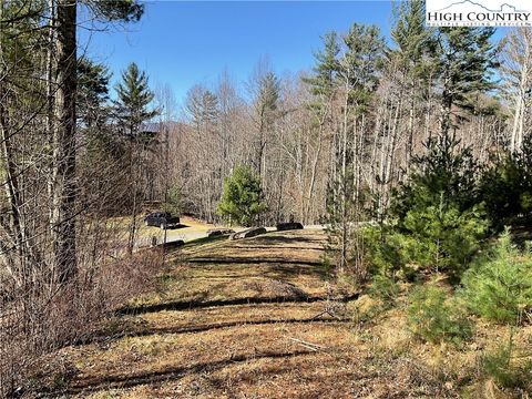 Photo of TBD Lot 34 Falls Creek Parkway, Elk Park, NC 28622 (MLS # 260985)