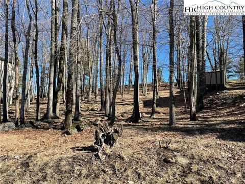 Photo of 493 Saint Andrews Road, Beech Mountain, NC 28604 (MLS # 252877)