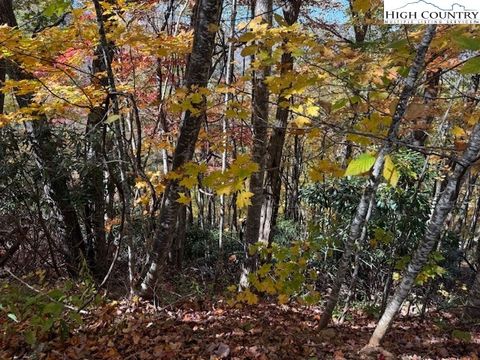 Photo of Lot 50-51 Poplar Trail, Creston, NC 28615 (MLS # 258677)