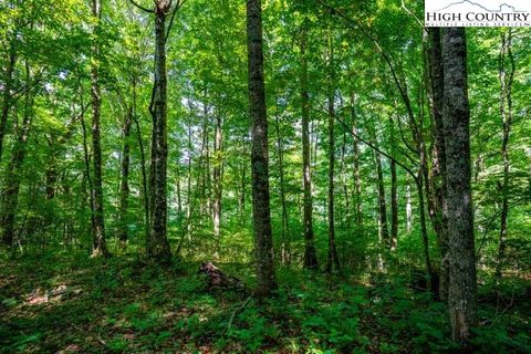 Photo of Lot 33 Marta Lane, Zionville, NC 28698 (MLS # 239490)