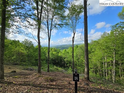 Photo of 18 Honeysuckle Drive, Elk Park, NC 28622 (MLS # 254042)