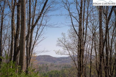 Photo of 286 Ninebark Road, Boone, NC 28607 (MLS # 242860)
