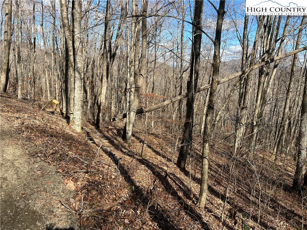 Todd, North Carolina 28684, United States, ,Land,Active,21115