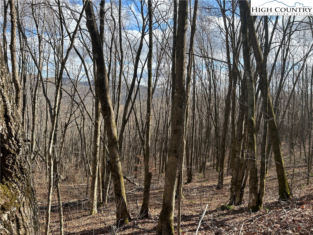 Todd, North Carolina 28684, United States, ,Land,Active,21115