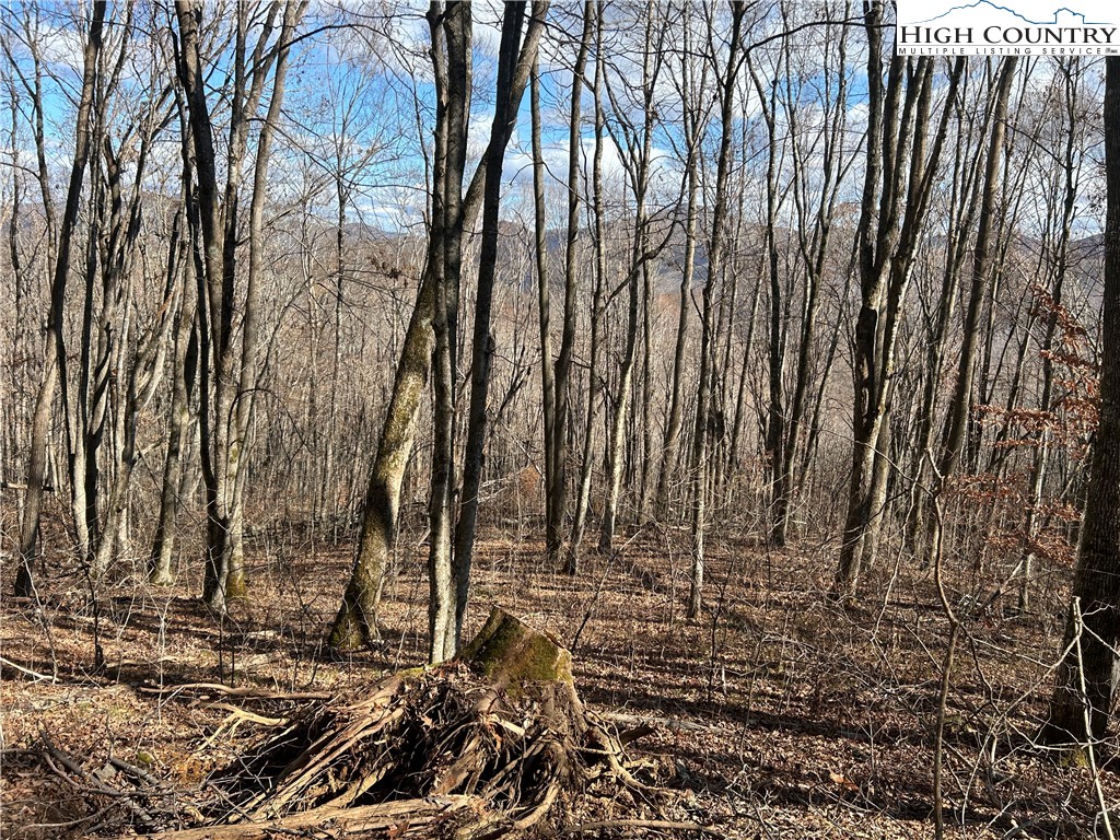 Todd, North Carolina 28684, United States, ,Land,Active,21115