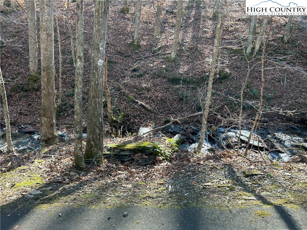 Todd, North Carolina 28684, United States, ,Land,Active,21115