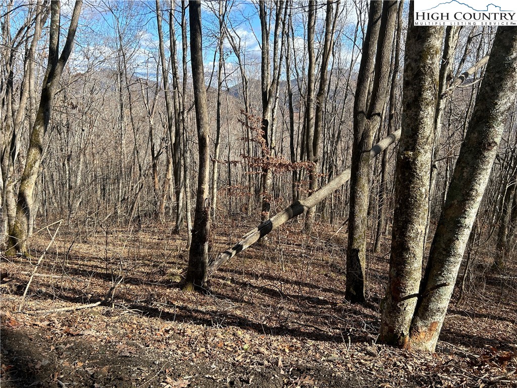 Todd, North Carolina 28684, United States, ,Land,Active,21115