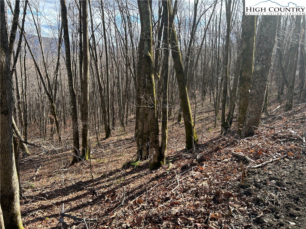 Todd, North Carolina 28684, United States, ,Land,Active,21115