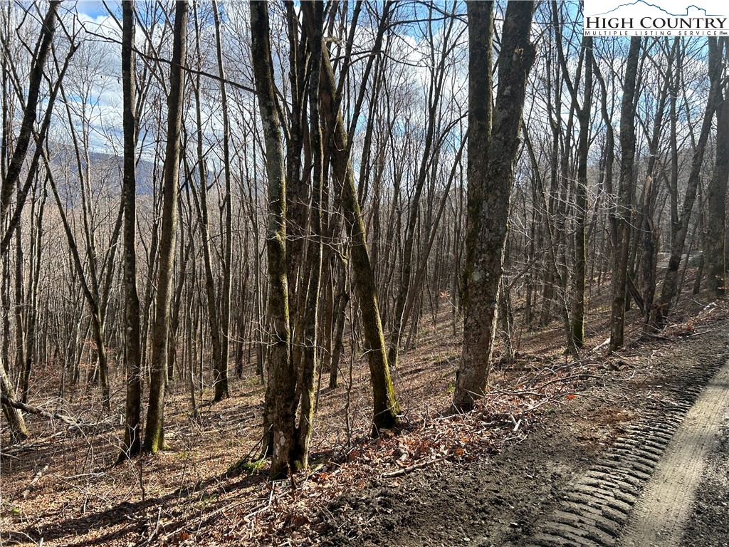 Todd, North Carolina 28684, United States, ,Land,Active,21115