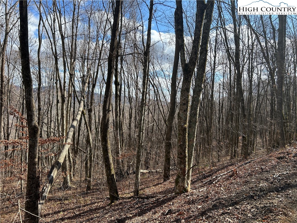 Todd, North Carolina 28684, United States, ,Land,Active,21115