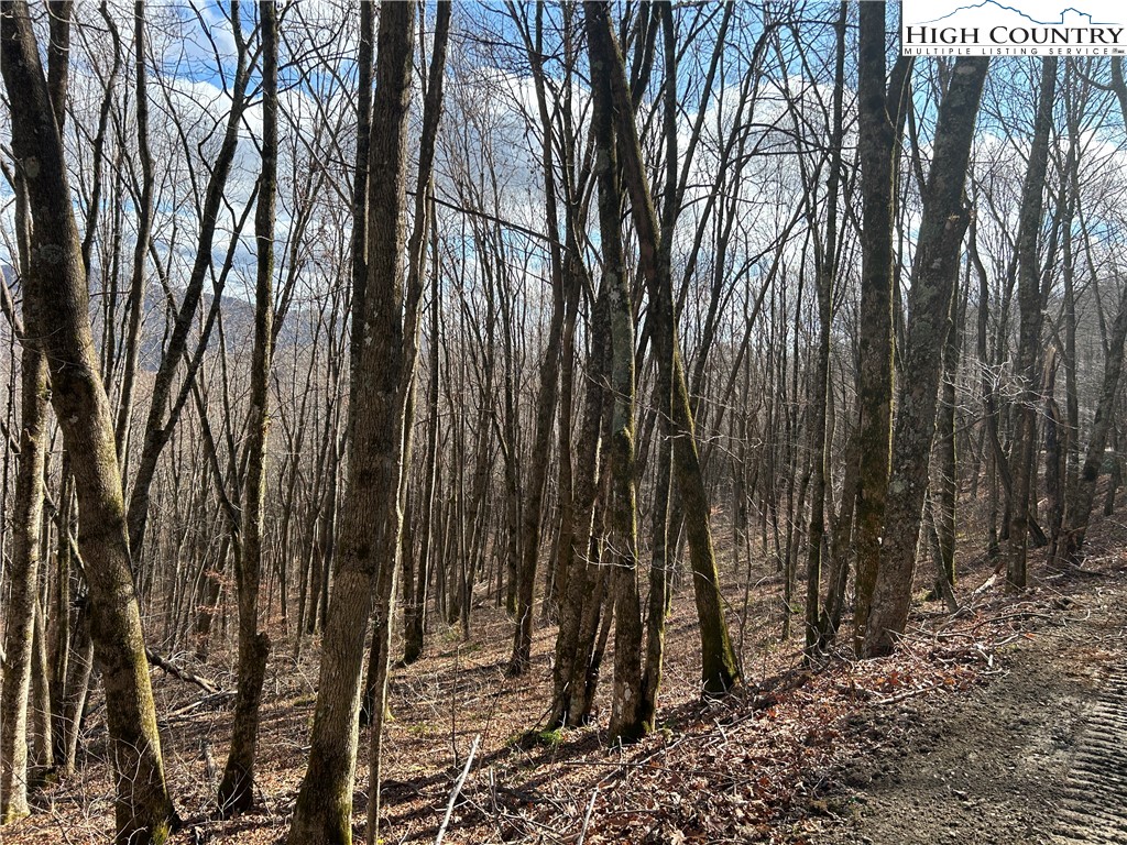 Todd, North Carolina 28684, United States, ,Land,Active,21115