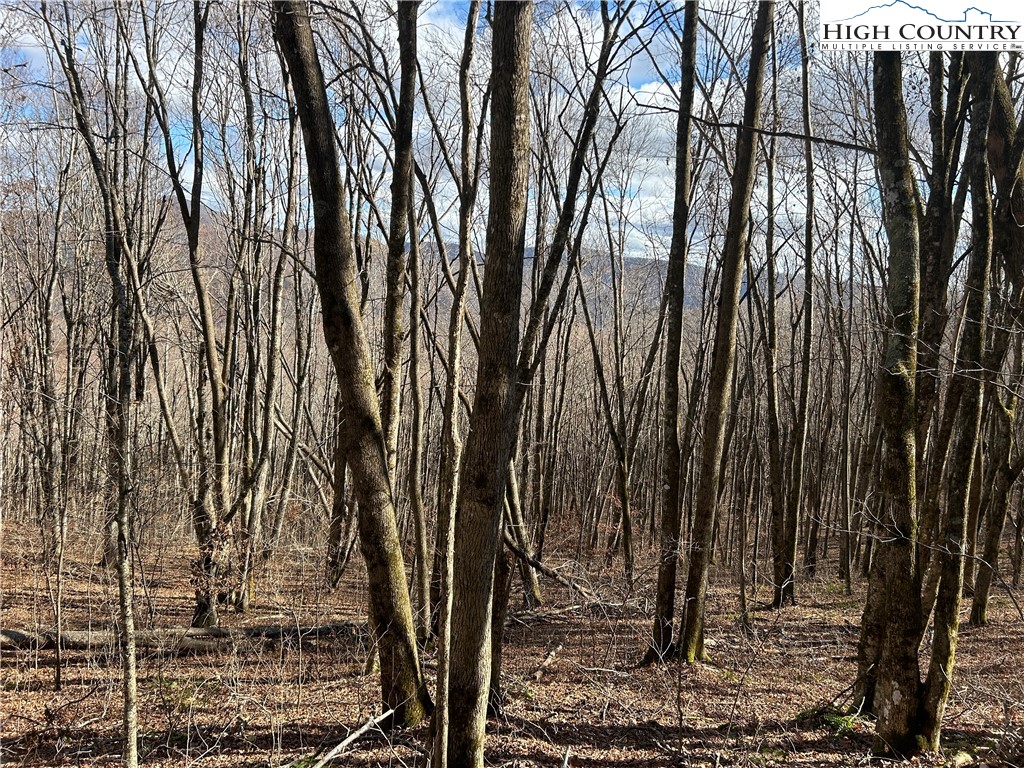 Todd, North Carolina 28684, United States, ,Land,Active,21115