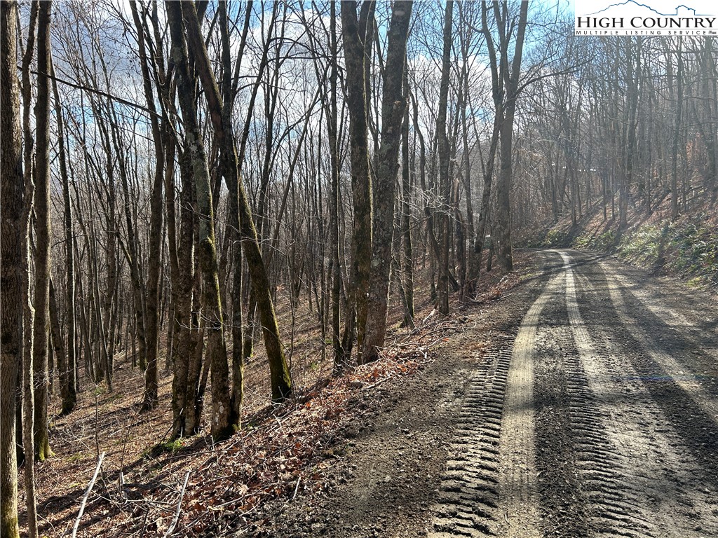 Todd, North Carolina 28684, United States, ,Land,Active,21115