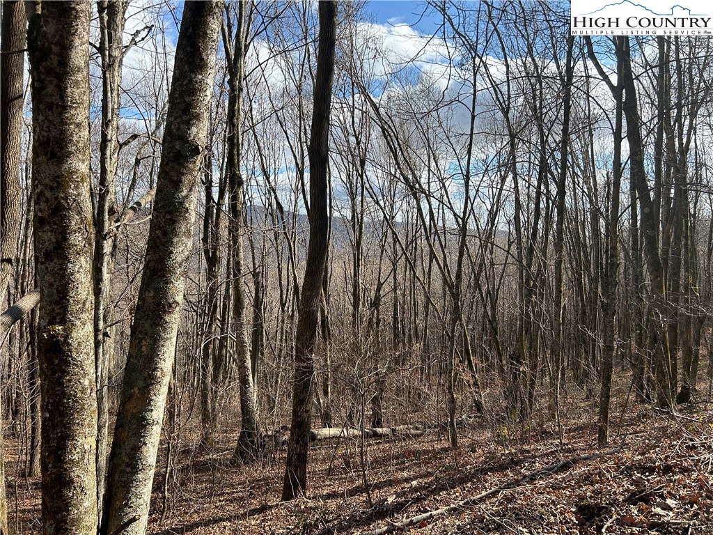 Todd, North Carolina 28684, United States, ,Land,Active,21115