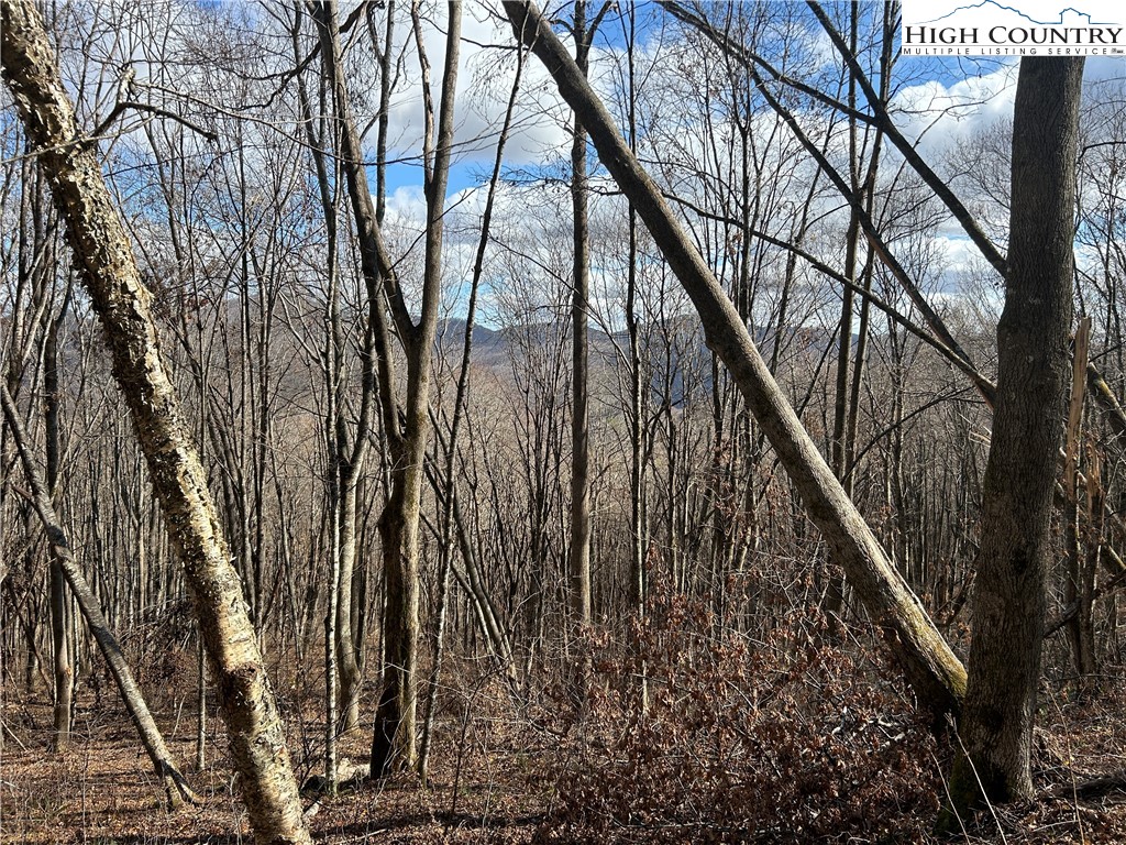 Todd, North Carolina 28684, United States, ,Land,Active,21115