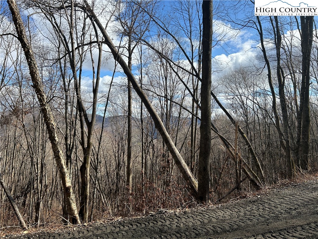 Todd, North Carolina 28684, United States, ,Land,Active,21115