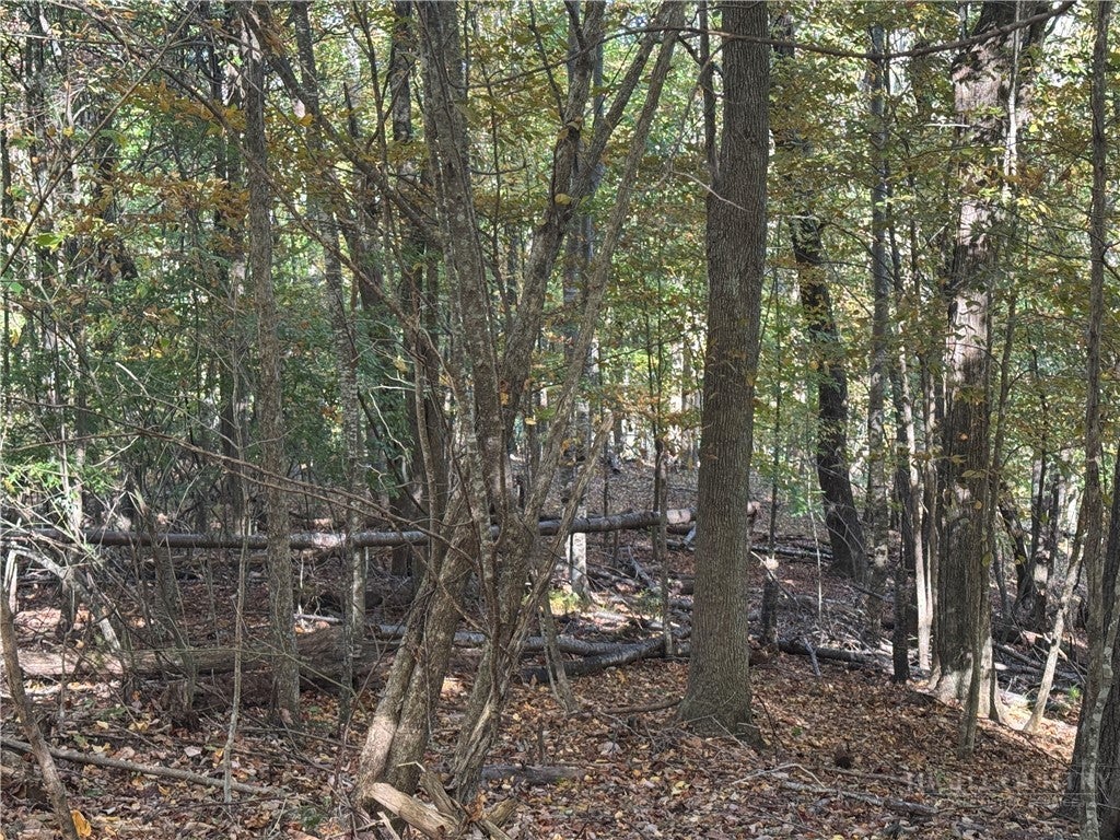 Lot 24 Larkspur Trail