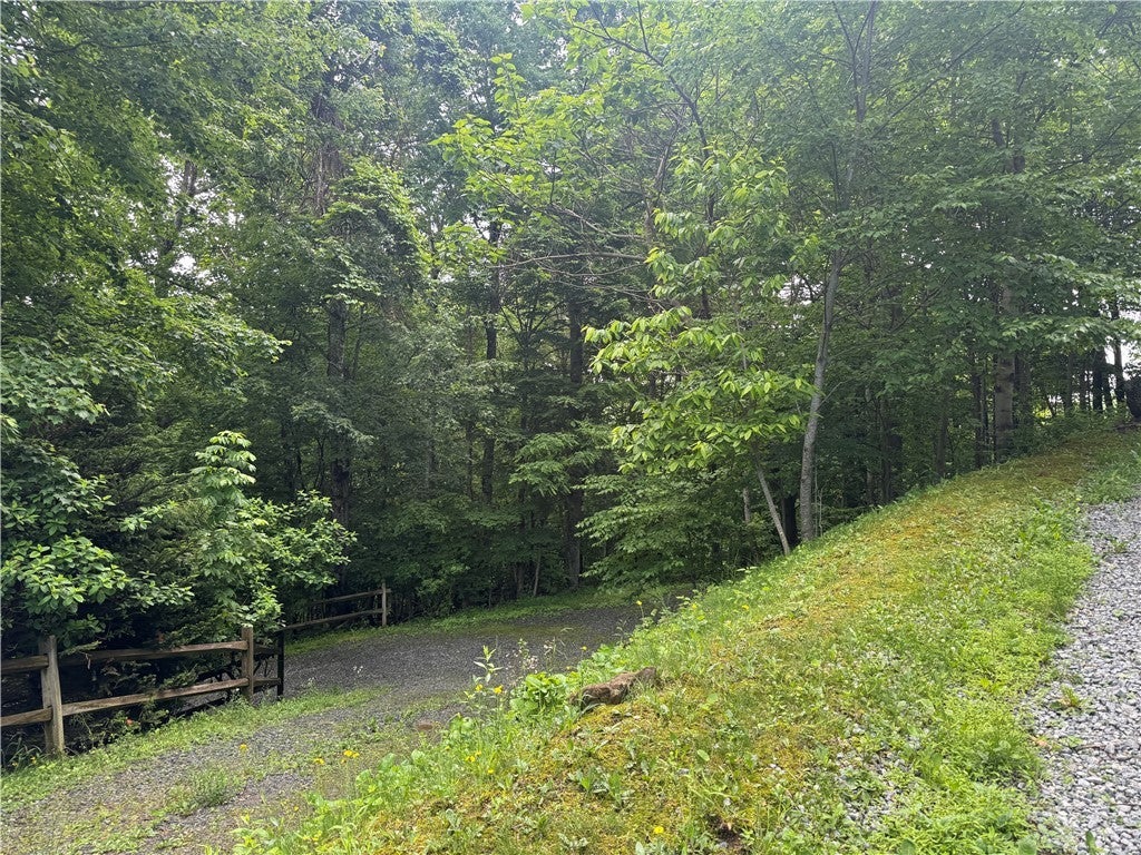 Lot 24 Larkspur Trail