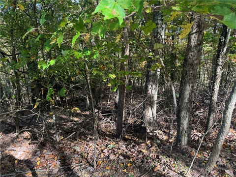 Photo of Lot 24 Larkspur Trail, Banner Elk, NC 28604 (MLS # 264654)