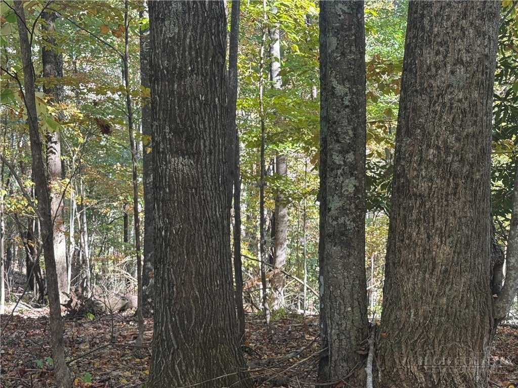 Lot 24 Larkspur Trail