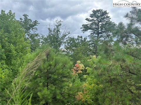 Photo of tbd Lobelia Lane, Boone, NC 28607 (MLS # 253801)