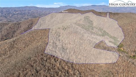 Photo of TBD Johnson Hollow Road, Jefferson, NC 28640 (MLS # 259477)