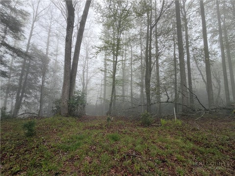 Photo of Lot 115R Autumn Blaze Trail, Blowing Rock, NC 28605 (MLS # 262849)
