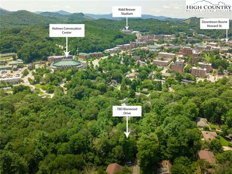 Photo of TBD Blanwood Drive, Boone, NC 28607 (MLS # 251039)