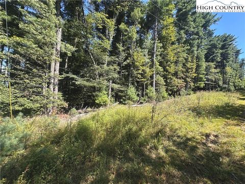 Photo of TBD Pine Grove Circle, Glade Valley, NC 28627 (MLS # 258295)