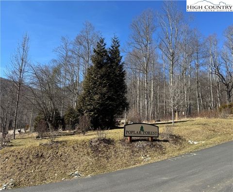 Photo of TBD Lot 43 Poplar Forest Drive, Boone, NC 28607 (MLS # 253844)