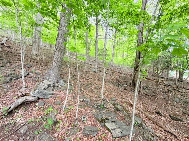 Lot 136 Lauren Lane