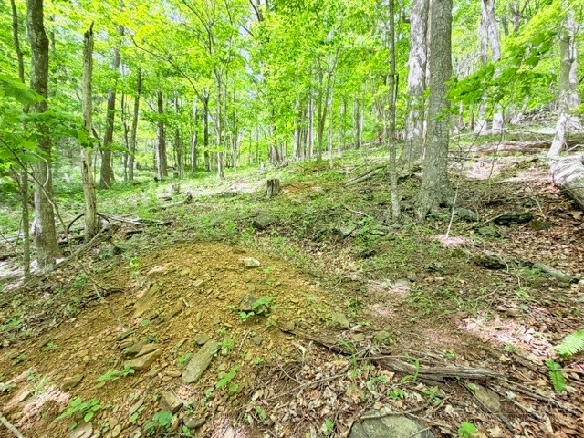 Lot 136 Lauren Lane