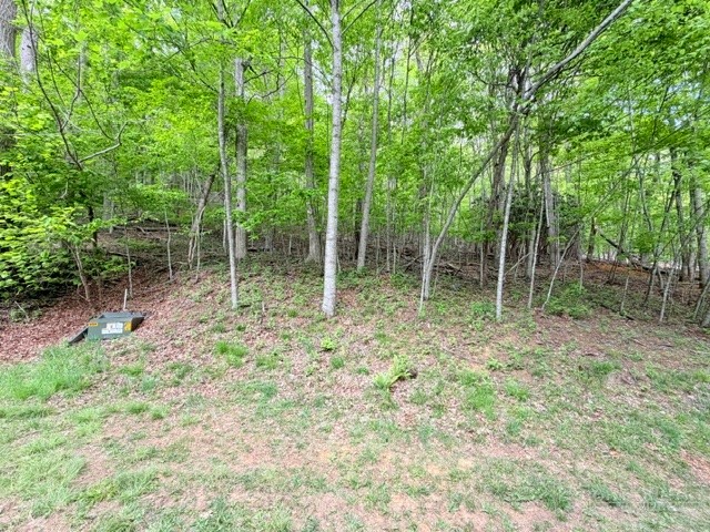 Lot 136 Lauren Lane